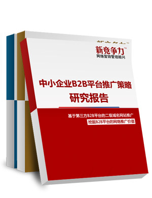 中小企业B2B平台推广策略研究报告